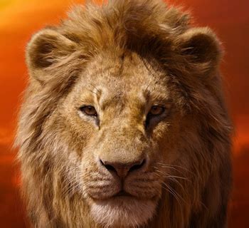 tv tropes lion king 2019|The Lion King (Franchise) .
